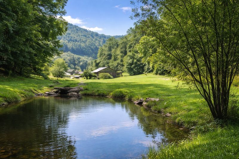 Local Enclosed Deck Installation in Leicester, NC